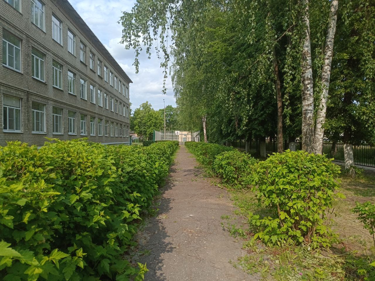 школа